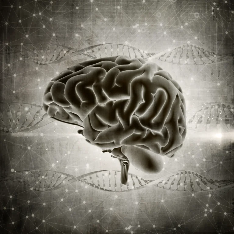 Imagen de cerebro